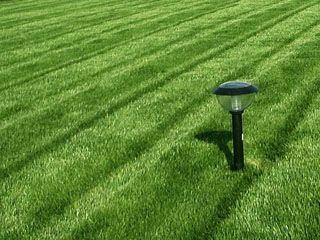 В Абаканском Парке Победы начались посевы газонной травы